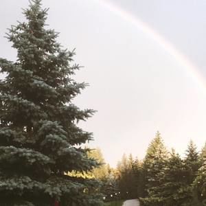 Meet your Posher, Betty